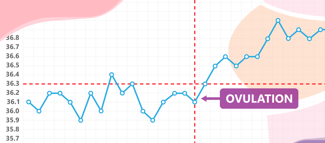 Reading Your BBT Chart – Fairhaven Health