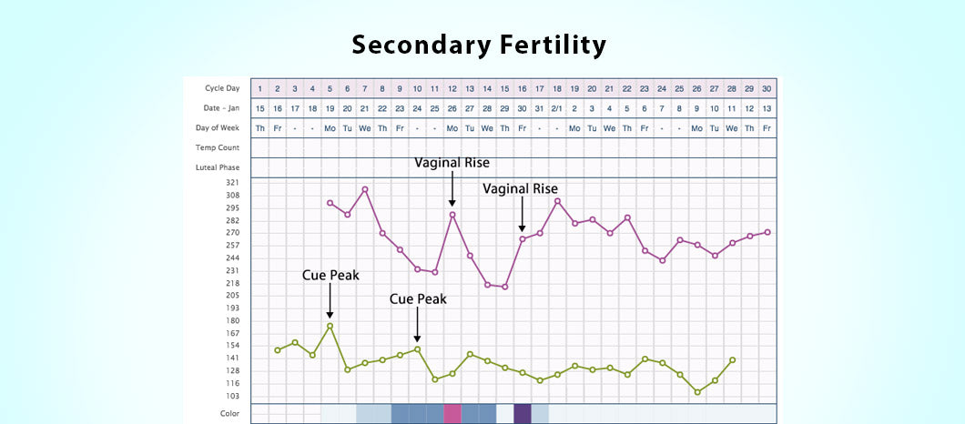 Secondary Fertility – Two Peak Fertility Readings in One Cycle