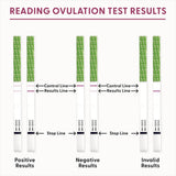 How to read BFP Ovulation Test Results
