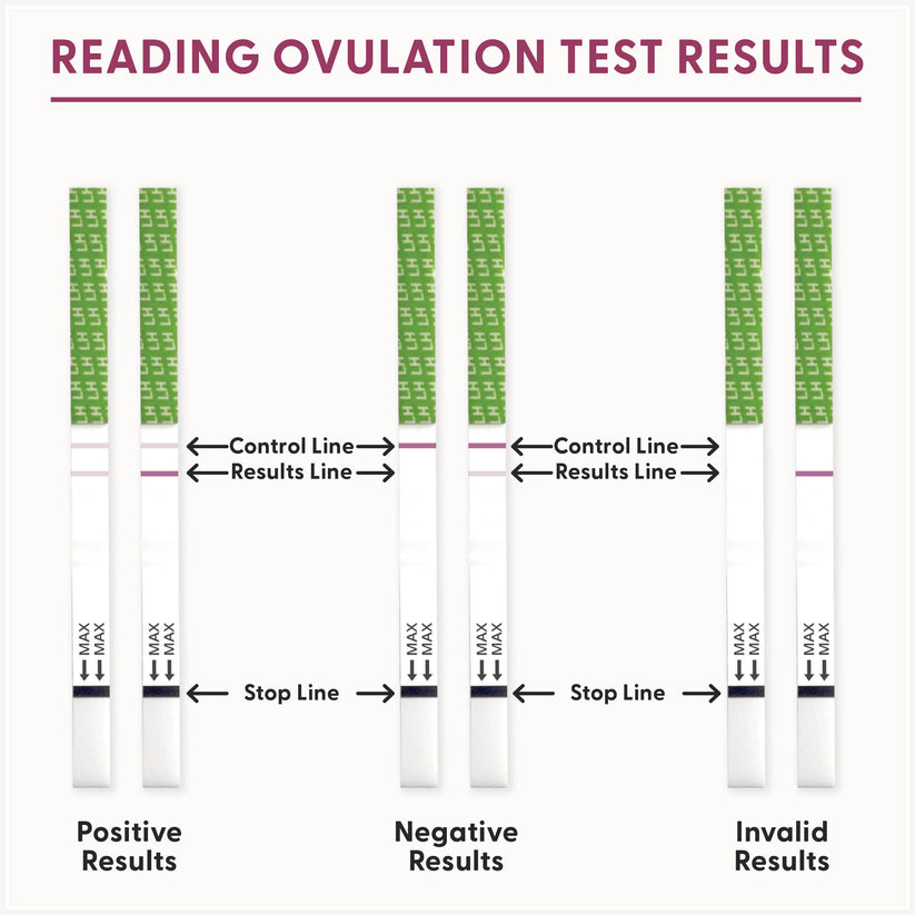 How to read BFP Ovulation Test Results