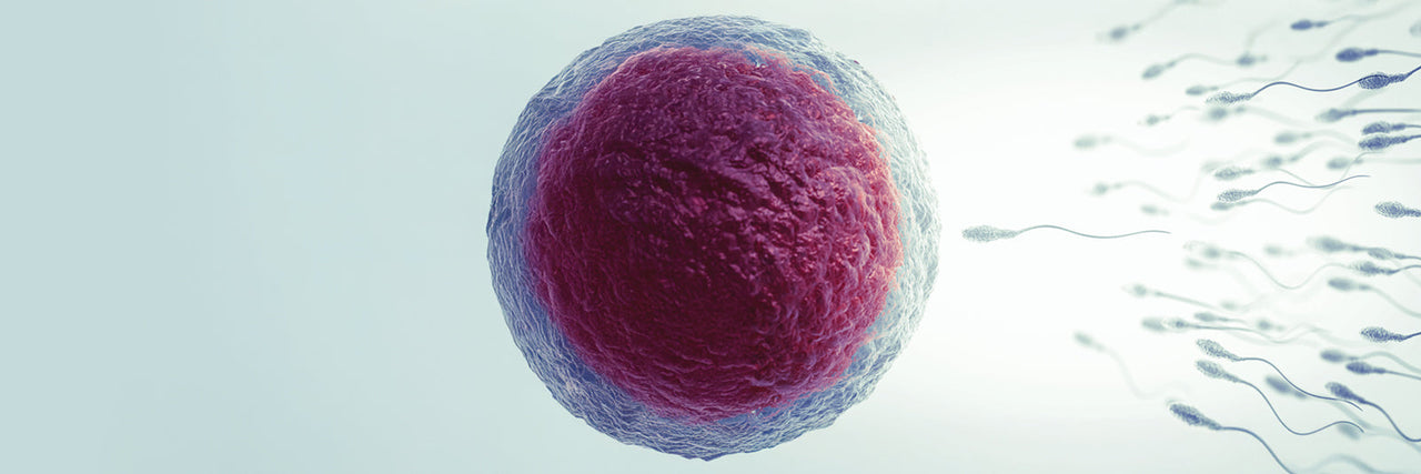Myo-Inositol for Fertility and Menstrual Health: Choosing the Right Pr Fairhaven Health Myo-Inositol for Fertility and Menstrual Health: Choosing the Right Pr Fairhaven Health
