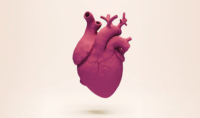 Heart Attacks in Women: Symptoms, Warning Signs, and When to Seek Help