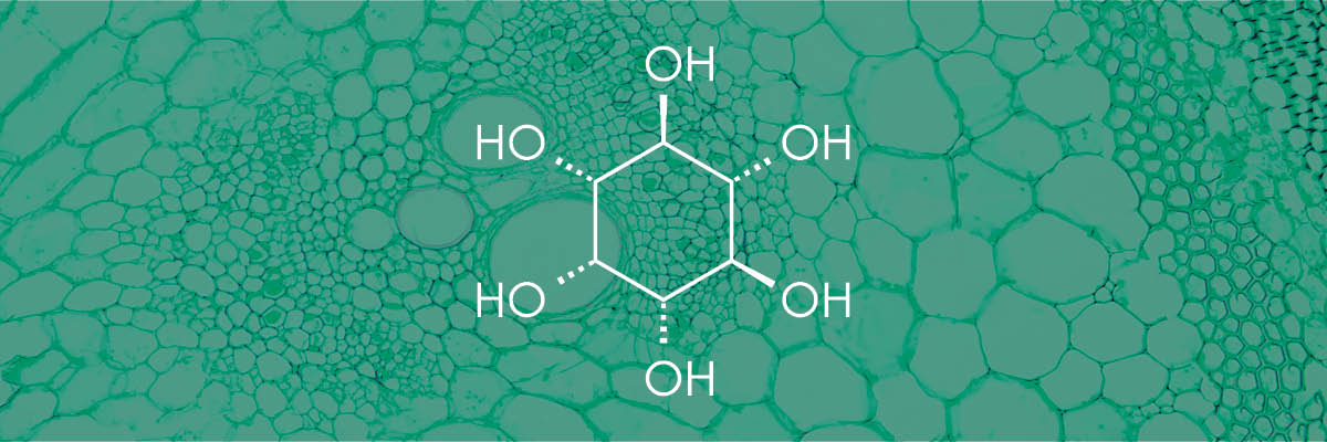 Common Questions About PMOS (PCOS) and Inositol Supplementation