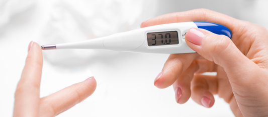 woman holding digital basal thermometer