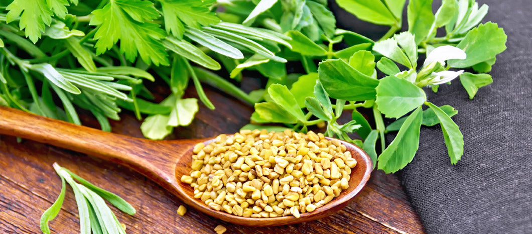 fenugreek seeds on a spoon and leaves / herbs