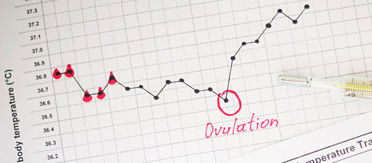 fertility charting to pinpoint ovulation
