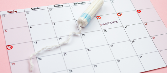 menstrual cycle calendar