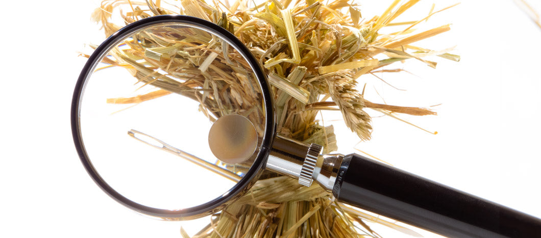 magnifying glass searching for needle in a haystack