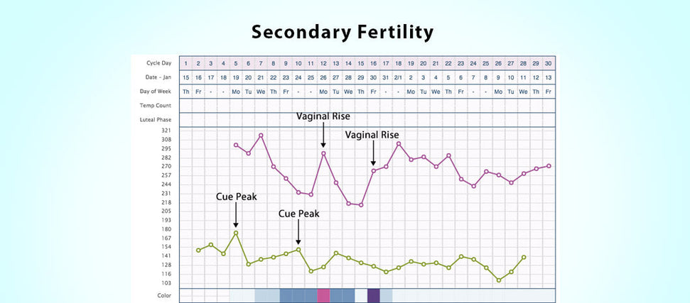 secondary fertility chart