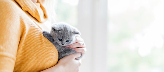 woman holding kitten