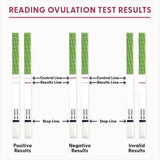 How to read ovulation test results on BFP Ovulation Test Strips by Fairhaven Health.