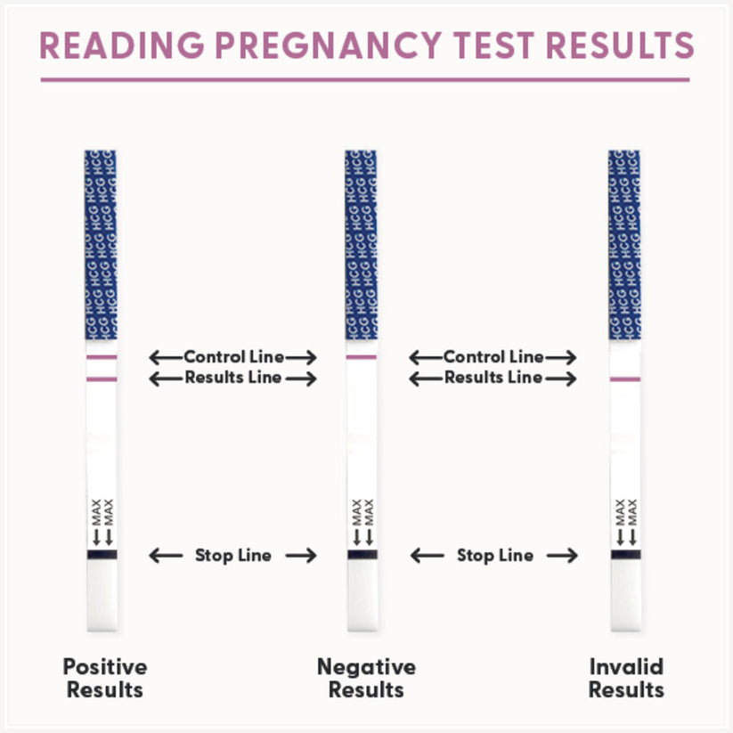 How to read pregnancy test results on BFP Pregnancy Test Strips by Fairhaven Health.