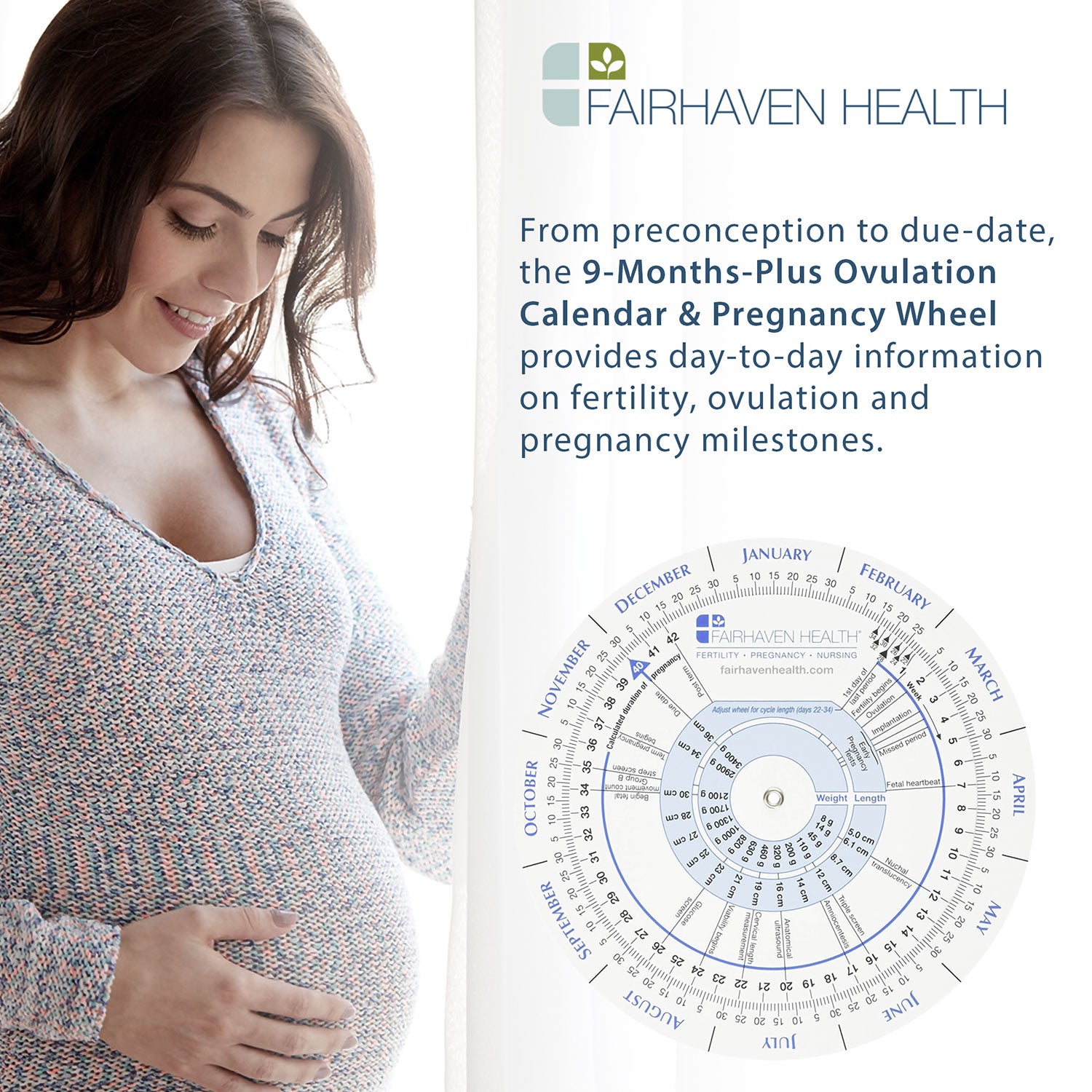 Ovulation Calendar & Pregnancy Wheel provides info on fertility, ovulation, pregnancy, milestones