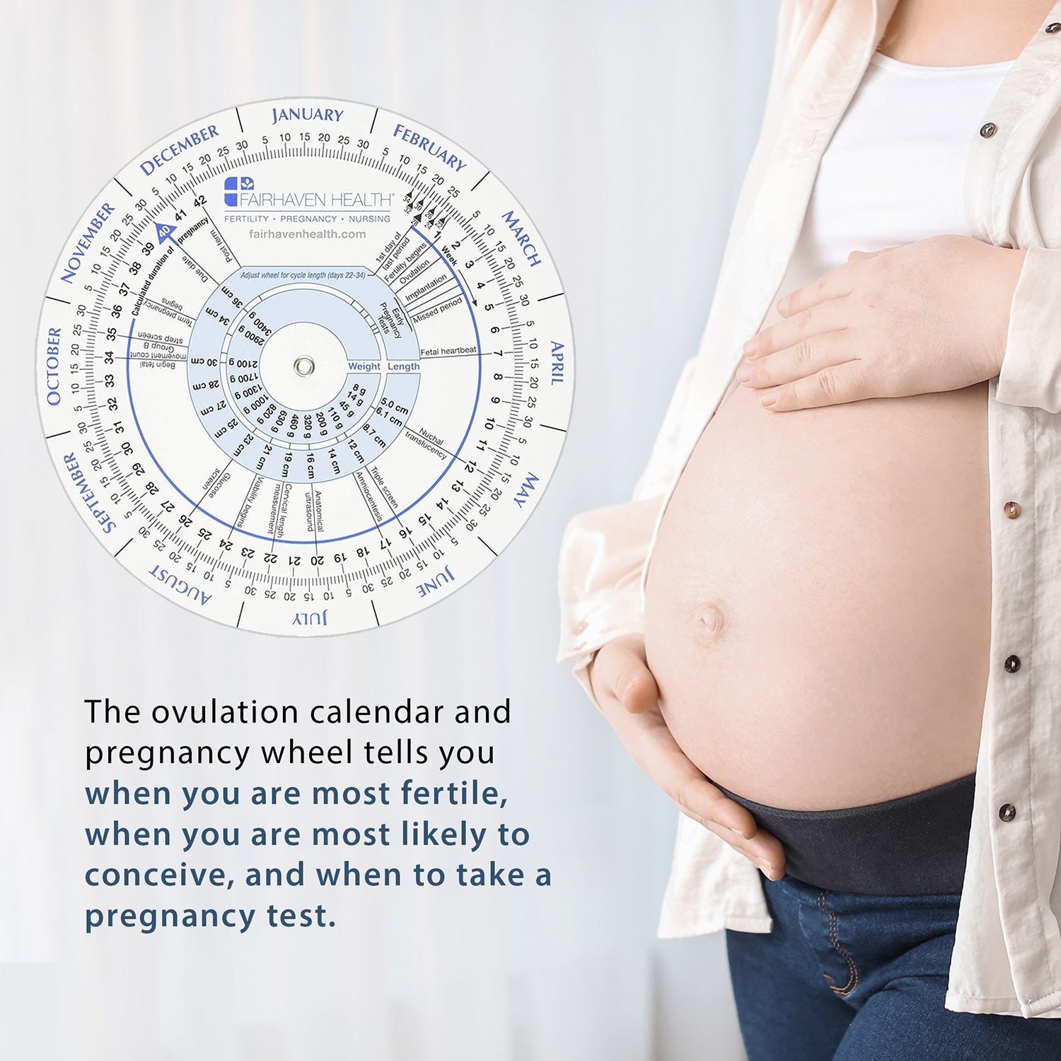 ovulation calendar and pregnancy wheel provides important fertility information