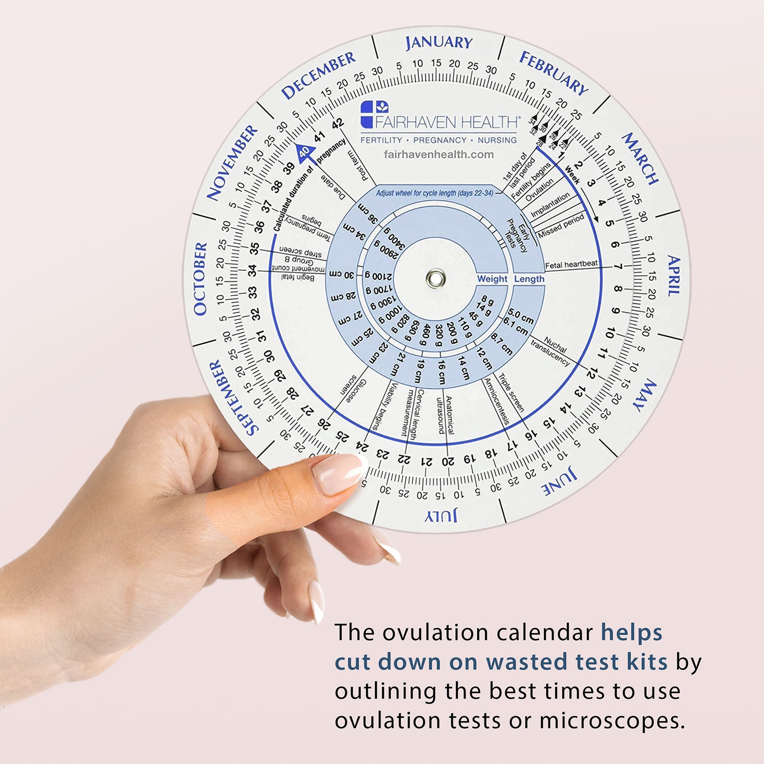 Ovulation Calendar and Pregnancy Wheel