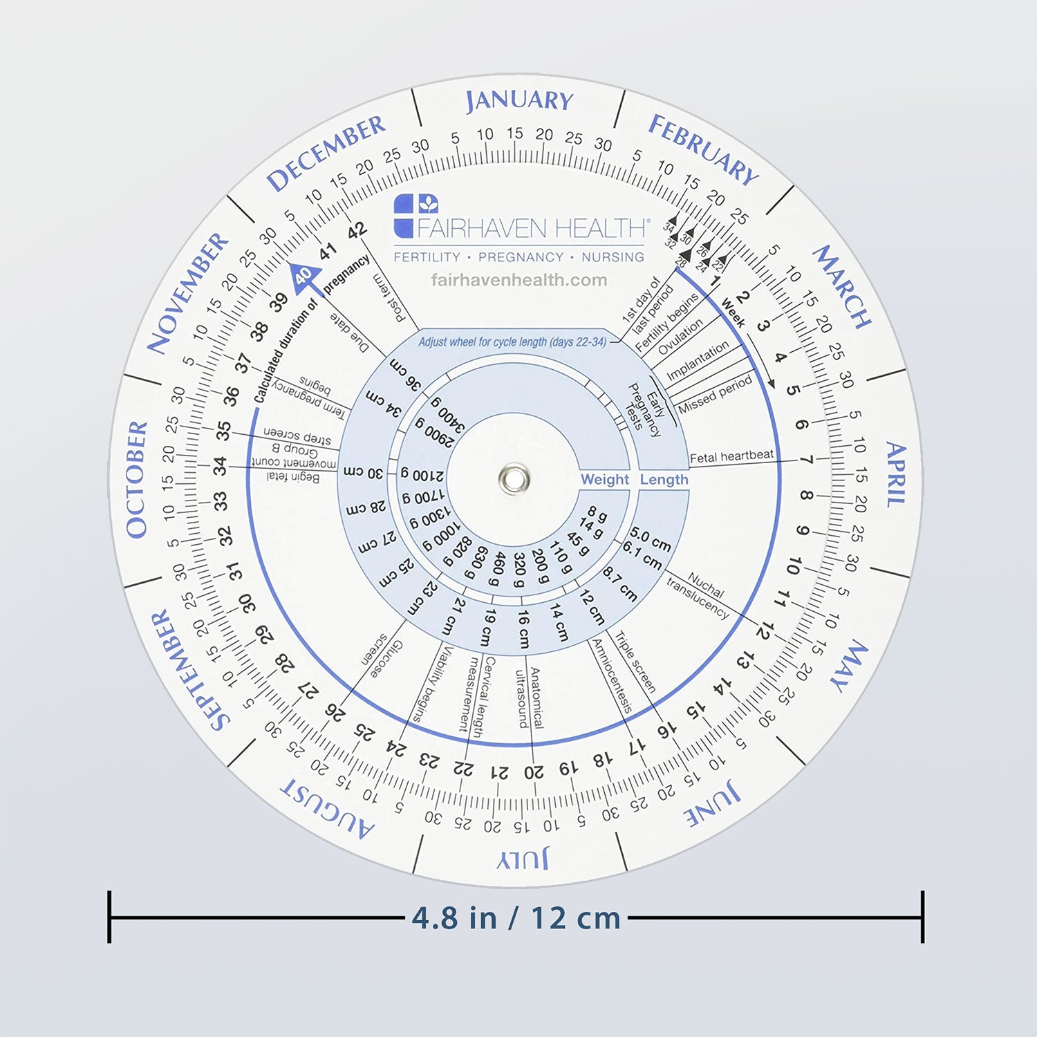 ovulation calendar and pregnancy wheel measurements