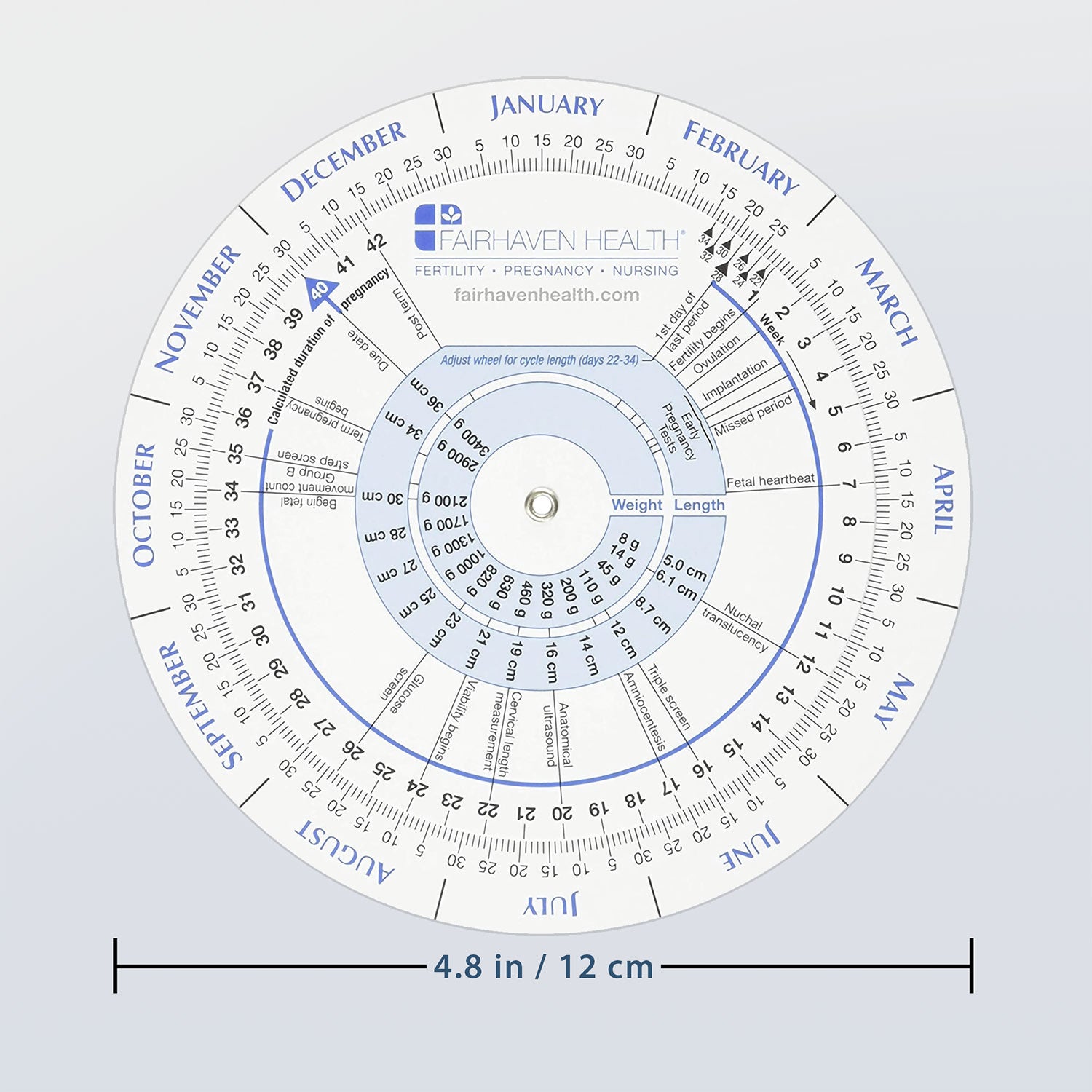 Ovulation Cycle Calendar Pregnancy