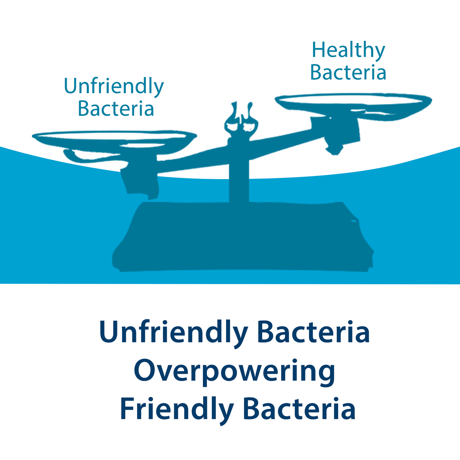 FH PRO Bundle Essentials - Unfriendly Bacteria Overpowering Friendly Bacteria