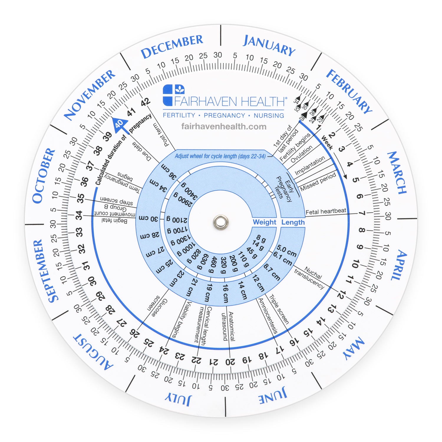 Pregnancy Calendar By Month Due Date Calculator: Predict Your Baby's