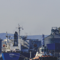 Carbon Neutral Shipping