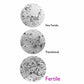 fertilefocus-ferning